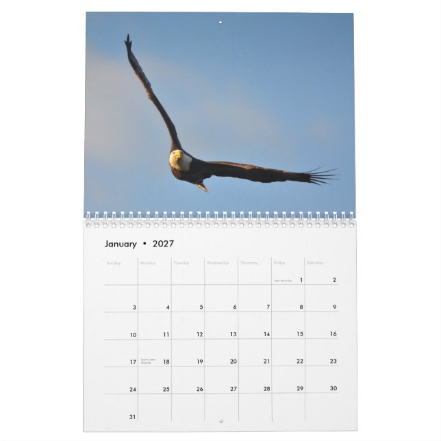 Calendario americano de Eagle calvo 2014 (Jan 2027)