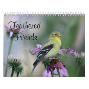 Calendario Amigos emplumados - pájaros salvajes