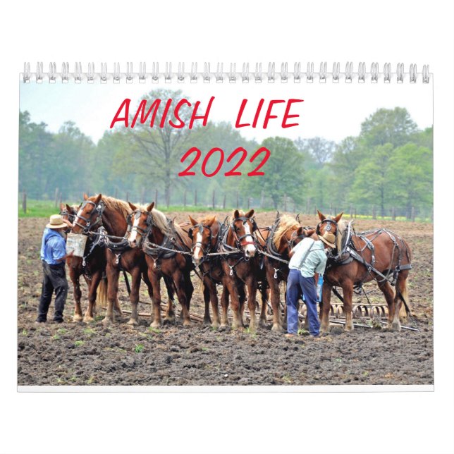 CALENDARIO AMISH LIFE 2022      (Tapa)