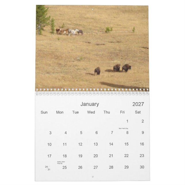 Calendario Amo los caballos 2012 (Jan 2027)