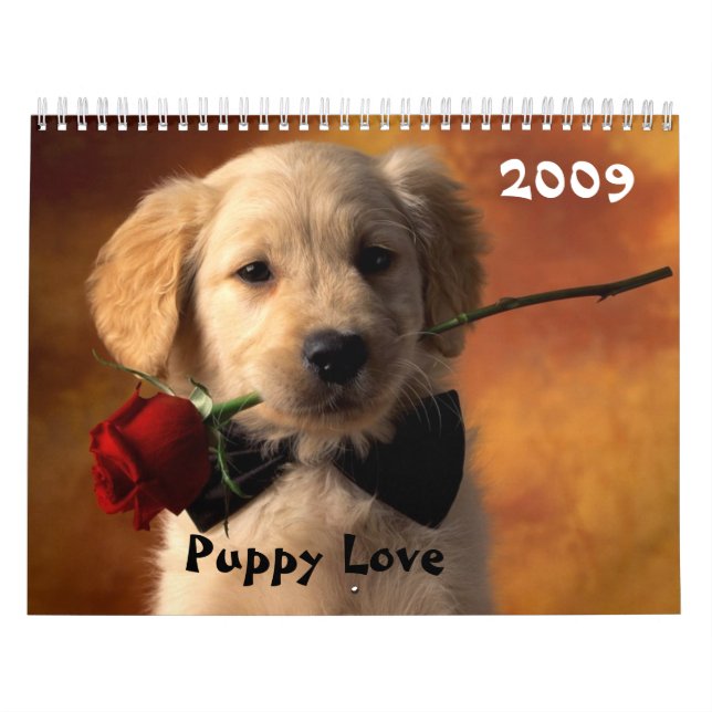 Calendario Amor adolescente (Tapa)