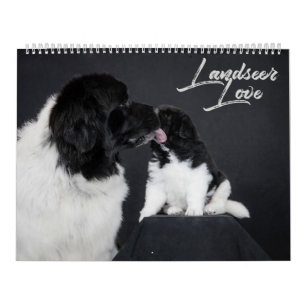 Calendario Amor Landseer
