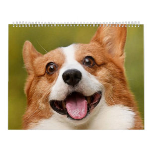 Calendario Añadir foto de perro personalizada