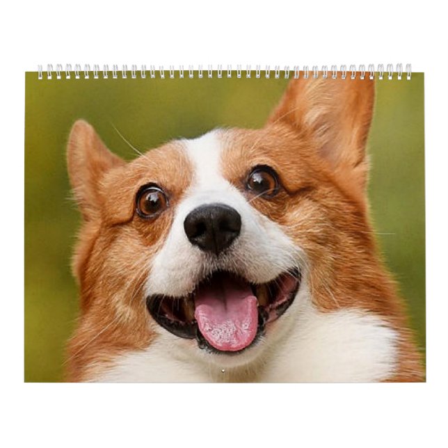 Calendario Añadir foto de perro personalizada (Tapa)