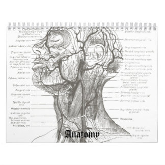 Calendario Anatomía de OldSchool