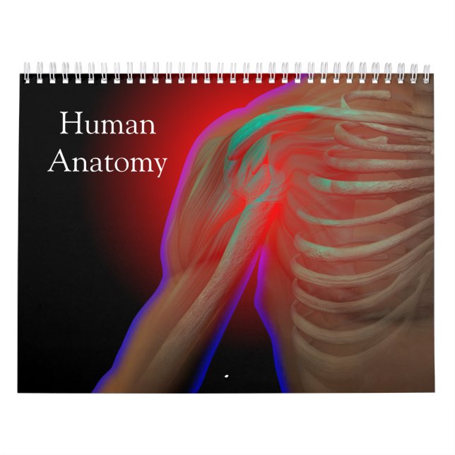 Calendario Anatomía humana (Tapa)