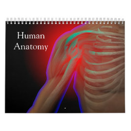 Calendario Anatomía humana