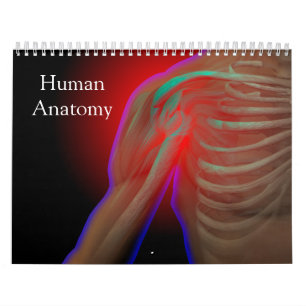 Calendario Anatomía humana