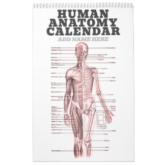 Calendario Anatomía humana Diagrama médico Ciencia de la Nove