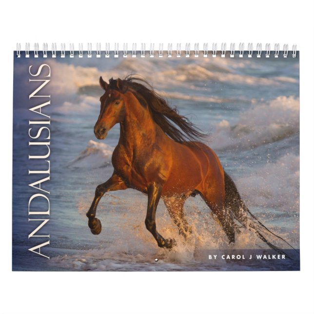 Calendario Andalucía: Carol J Walker Horse Calendar (Tapa)