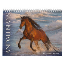 Andalucía: Carol J Walker Horse Calendar