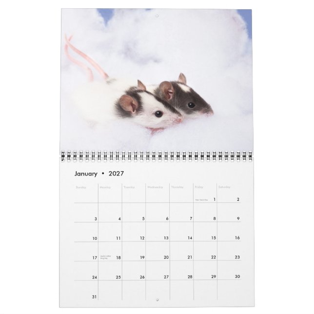 Calendario andrajoso inquisitivo 2011 (Jan 2027)