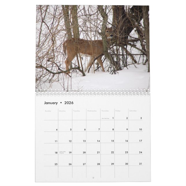 Calendario animal (Jan 2026)