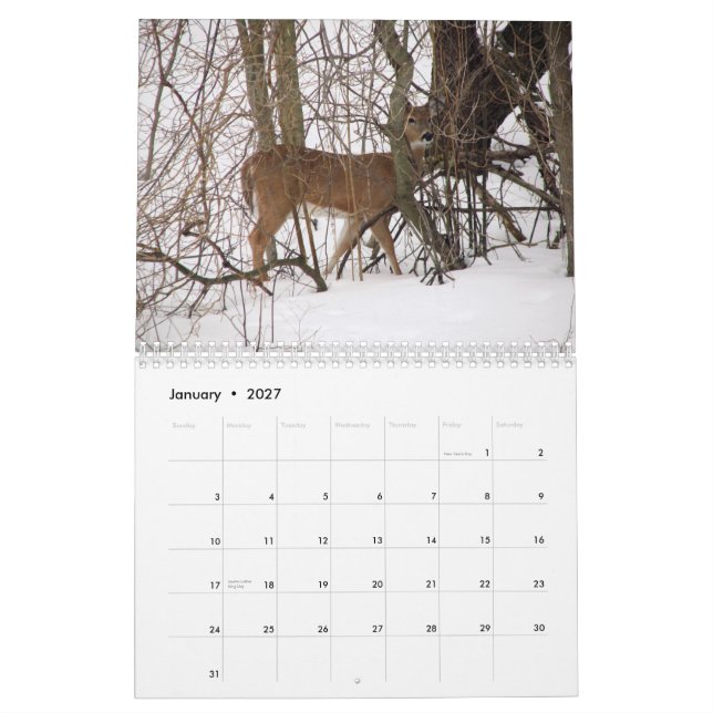 Calendario animal (Jan 2027)