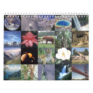 Calendario animal 5