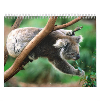 Calendario animal 6