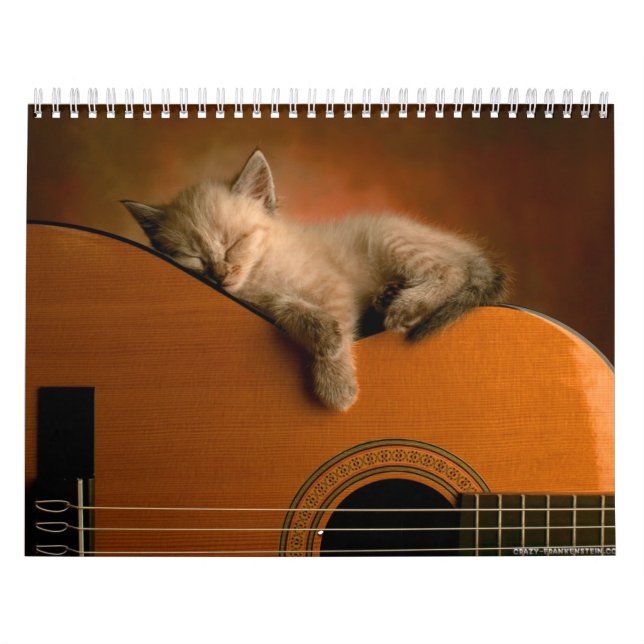 Calendario animal 7 (Tapa)