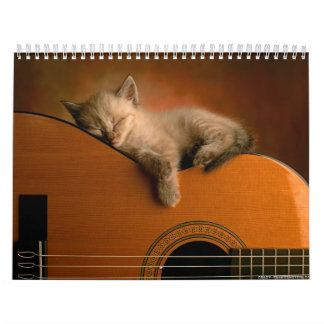 Calendario animal 7
