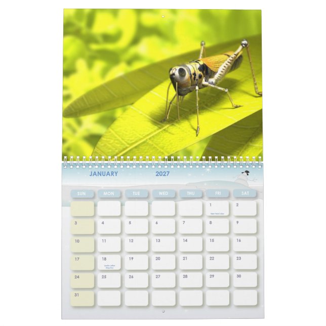 Calendario animal 8 (Jan 2027)