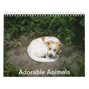 Calendario animal adorable