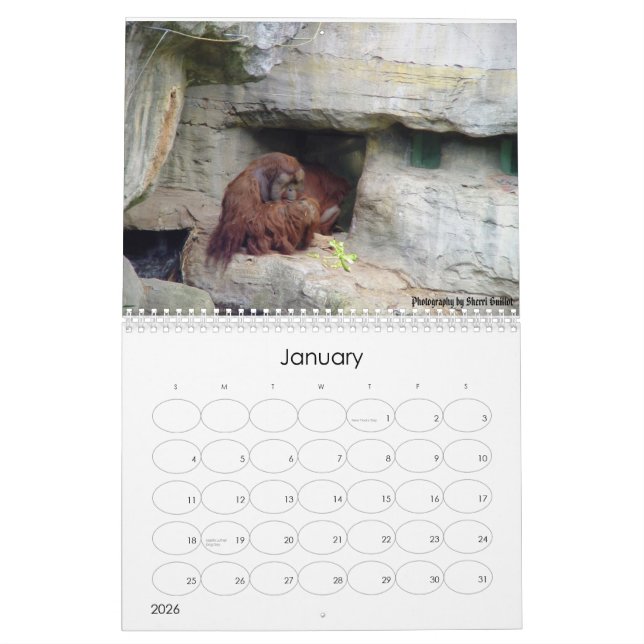Calendario Animal de 2008 (Jan 2026)
