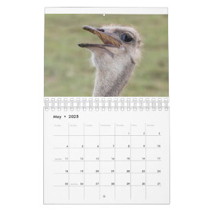 Calendario Animal de 2026