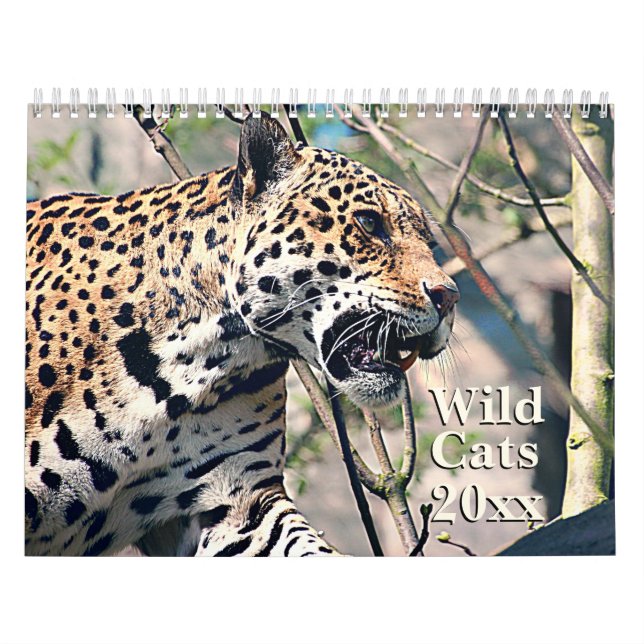 Calendario animal de la fauna de los gatos (Tapa)