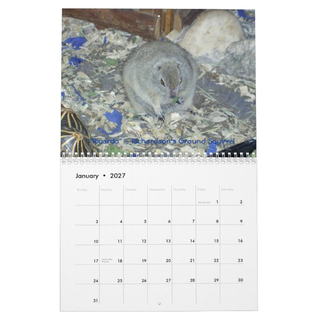 Calendario animal de los embajadores 2011 pared (Jan 2027)