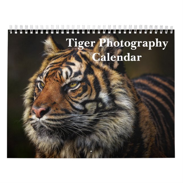 Calendario Animal salvaje fotográfico de tigres 2025 (Tapa)