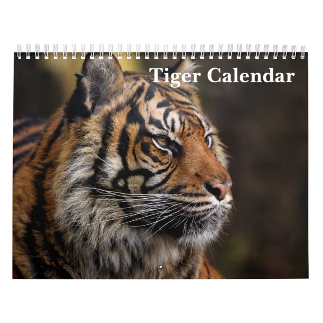 Calendario Animal salvaje Tiger 2025 (Tapa)