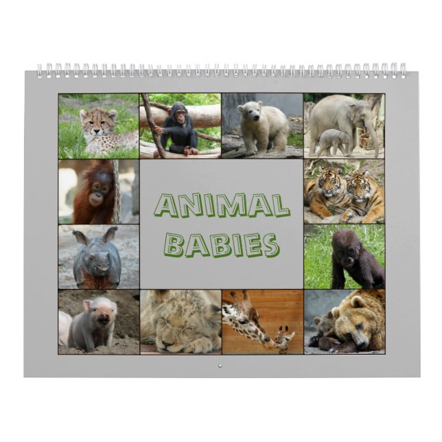 Calendario AnimalBabies 001 (Tapa)