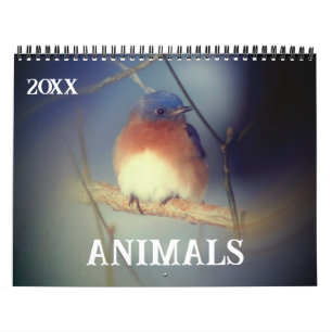 Calendario Animales