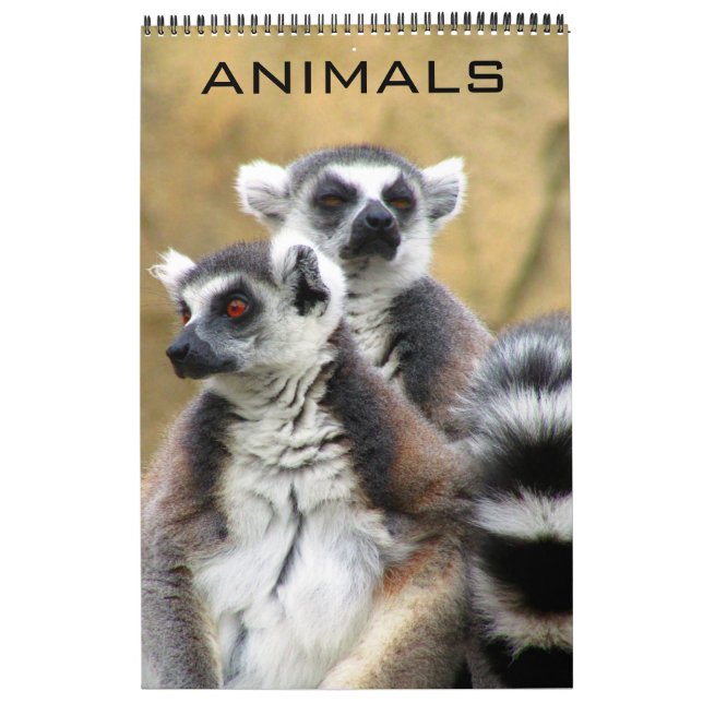 Calendario animales (Tapa)