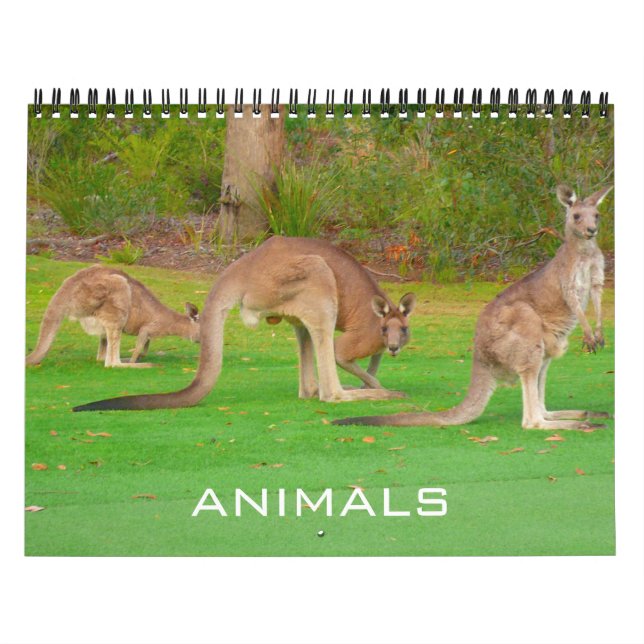 Calendario animales 2026 (Tapa)