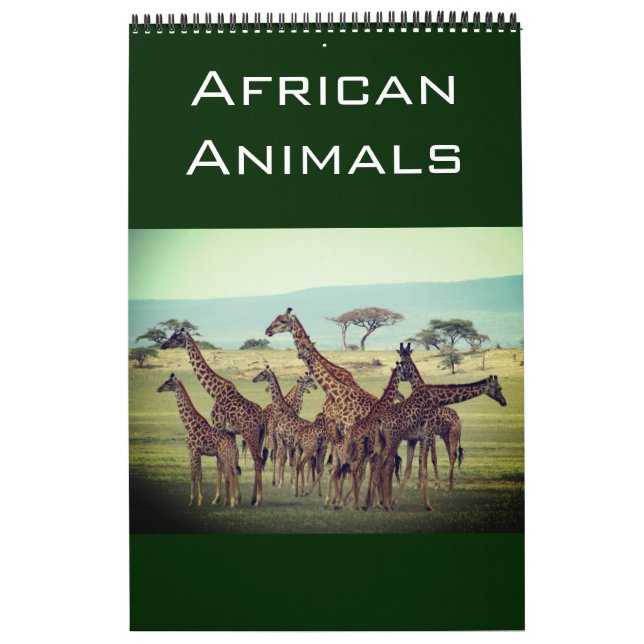 Calendario animales africanos 2025 (Tapa)