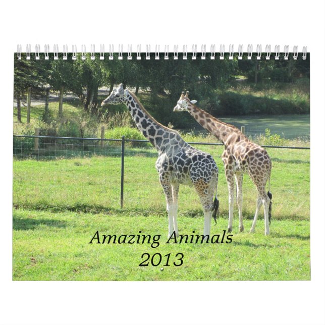 Calendario Animales asombrosos 2013 (Tapa)