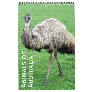 Calendario animales australianos