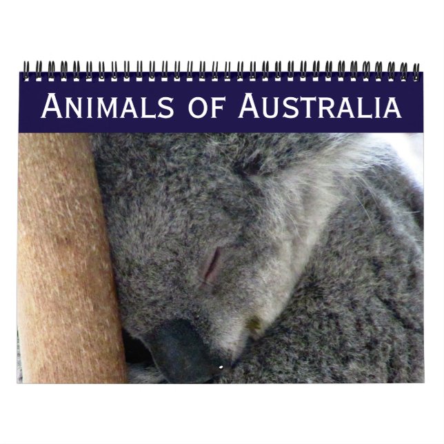 Calendario animales australianos 2025 (Tapa)