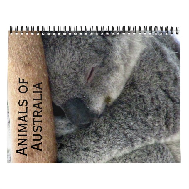 Calendario animales australianos 2026 (Tapa)