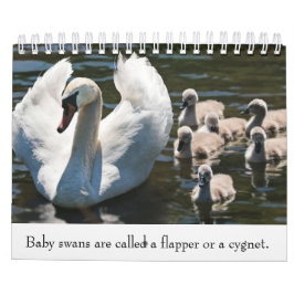 Calendario Animales bebé