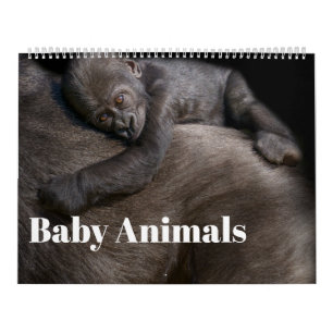 Calendario Animales Bebés Edición 2027