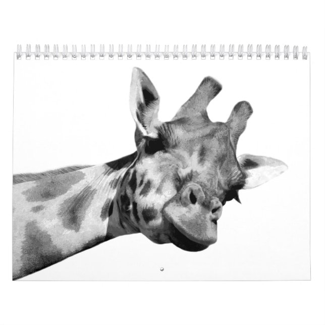 Calendario Animales blancos y negros (Tapa)