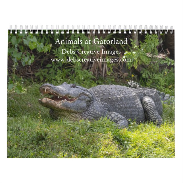 Calendario Animales de Gatorland 2026 (Tapa)