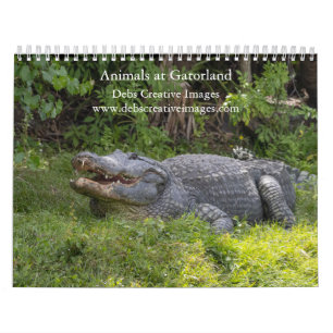 Calendario Animales de Gatorland 2026