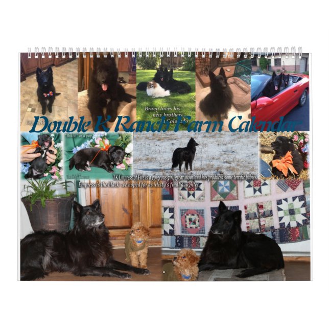 Calendario Animales de granja: Caballos, cabras, Mascotas, av (Tapa)