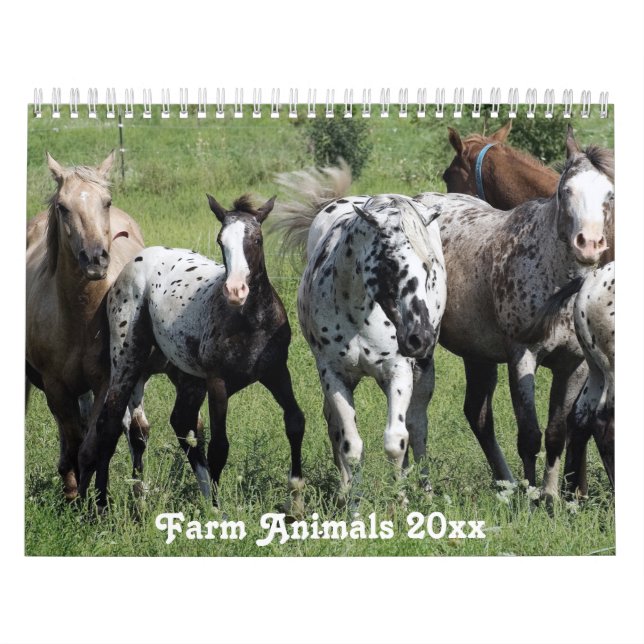 Calendario Animales de granja rurales de América (Tapa)