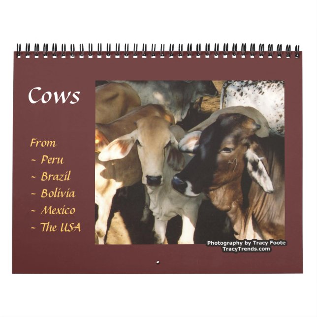 Calendario Animales de la granja bovina (Tapa)
