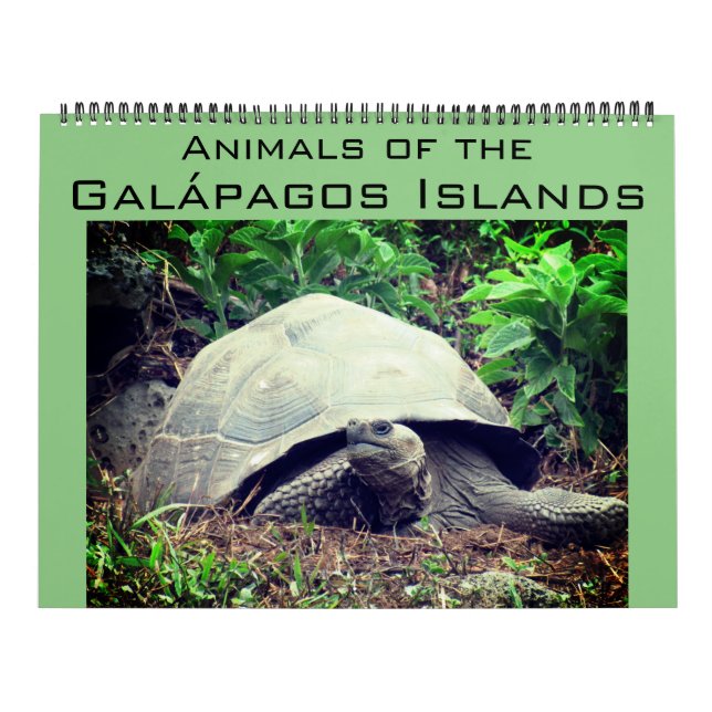 Calendario animales de las islas galápagos 2025 grandes (Tapa)