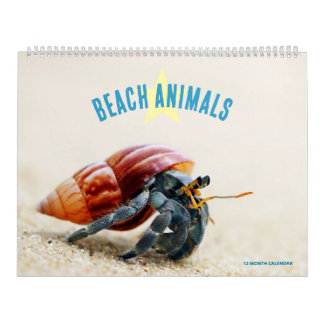 Calendario Animales de Playa