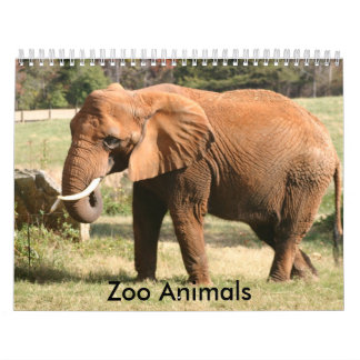 Calendario Animales del parque zoológico